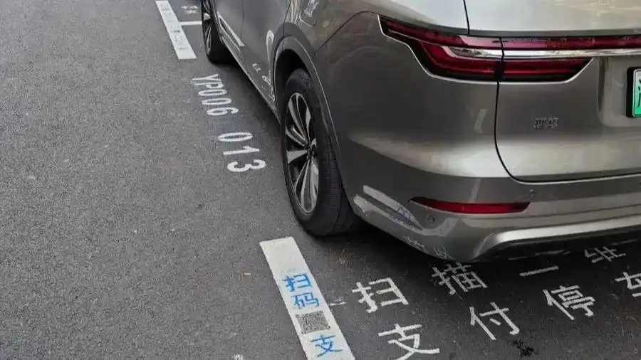 智慧停车标示维护问题_智慧停车计费人性化_路边停车无人收费系统怎么缴费