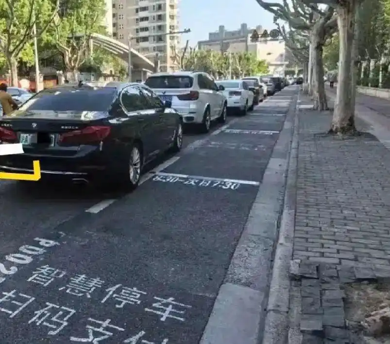 路边停车无人收费系统怎么缴费_智慧停车标示维护问题_智慧停车计费人性化