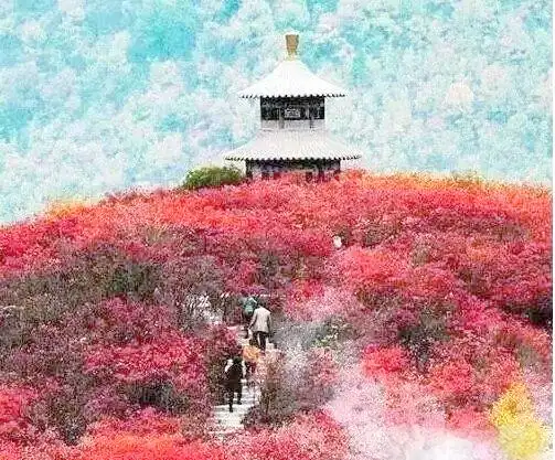 桐柏黄岗红叶最佳观赏时间_桐柏离黄岗镇有多远_桐柏黄岗红叶文化底蕴