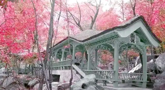 桐柏黄岗红叶最佳观赏时间_桐柏黄岗红叶文化底蕴_桐柏离黄岗镇有多远