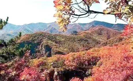 桐柏离黄岗镇有多远_桐柏黄岗红叶最佳观赏时间_桐柏黄岗红叶文化底蕴