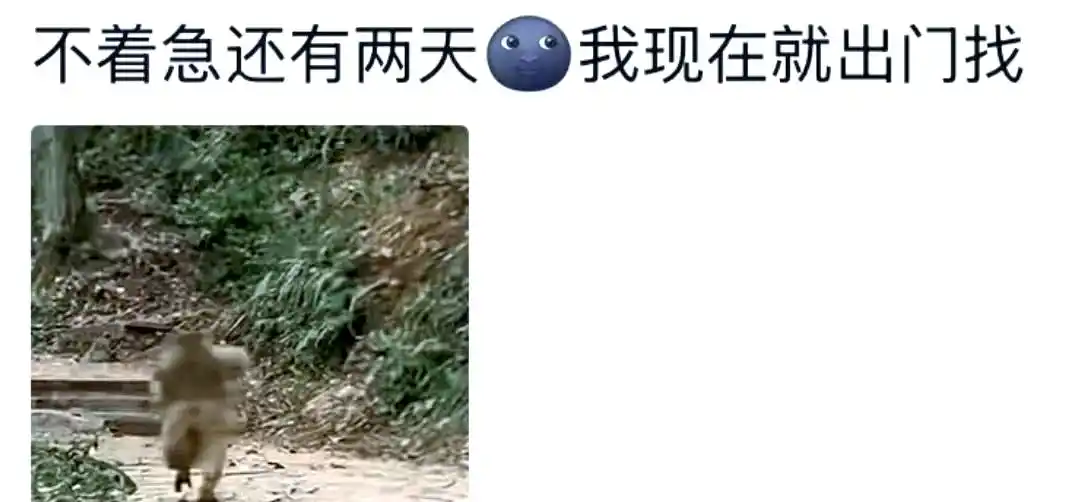 七夕节日氛围_七夕不同过法_七夕大家都在干嘛