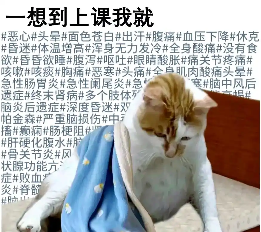 七夕节日氛围_七夕大家都在干嘛_七夕不同过法
