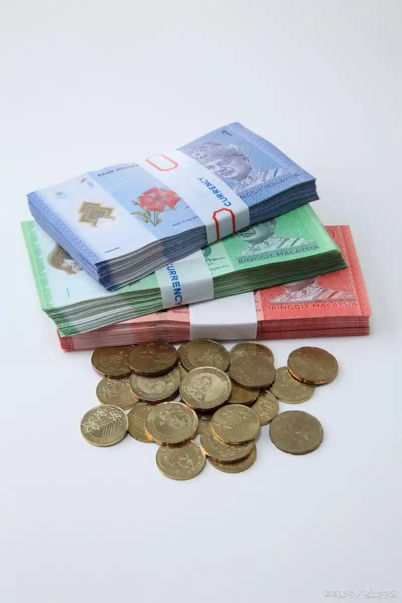 货币基金入门指南_货币基金周末算利息吗_货币基金购买注意事项