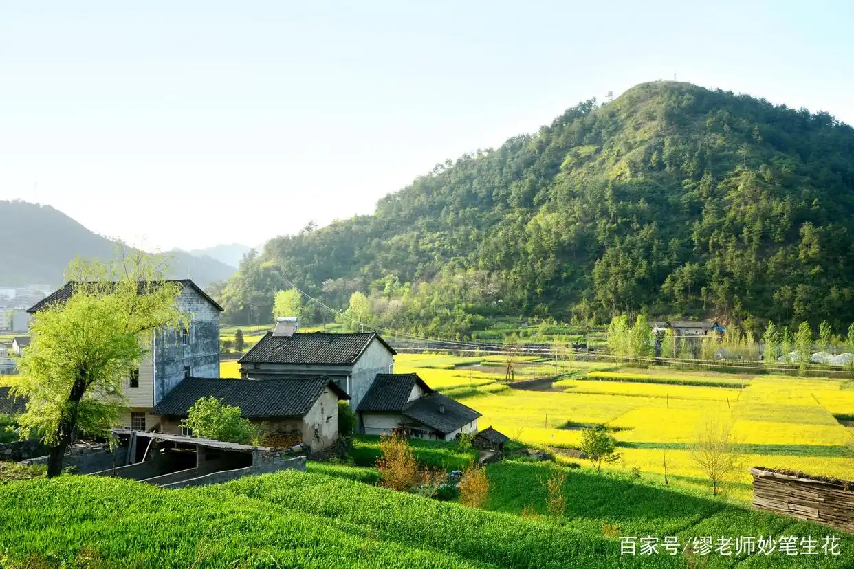 国家专项计划招生对象_高考专项计划区别_地方专项和正常录取的区别