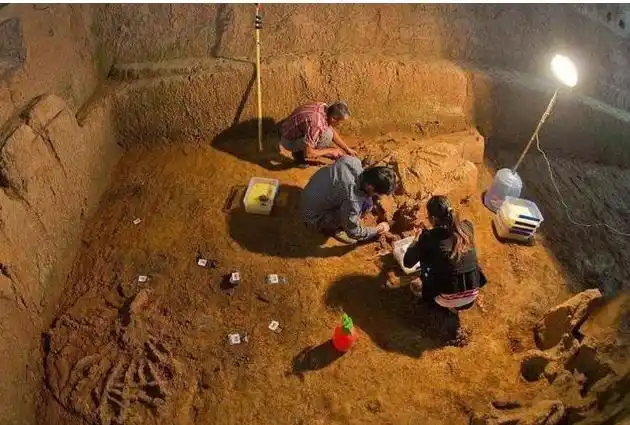 现实的盗墓凶险吗_古代中国盗墓贼危险职业_古代中国盗墓行为不吉利
