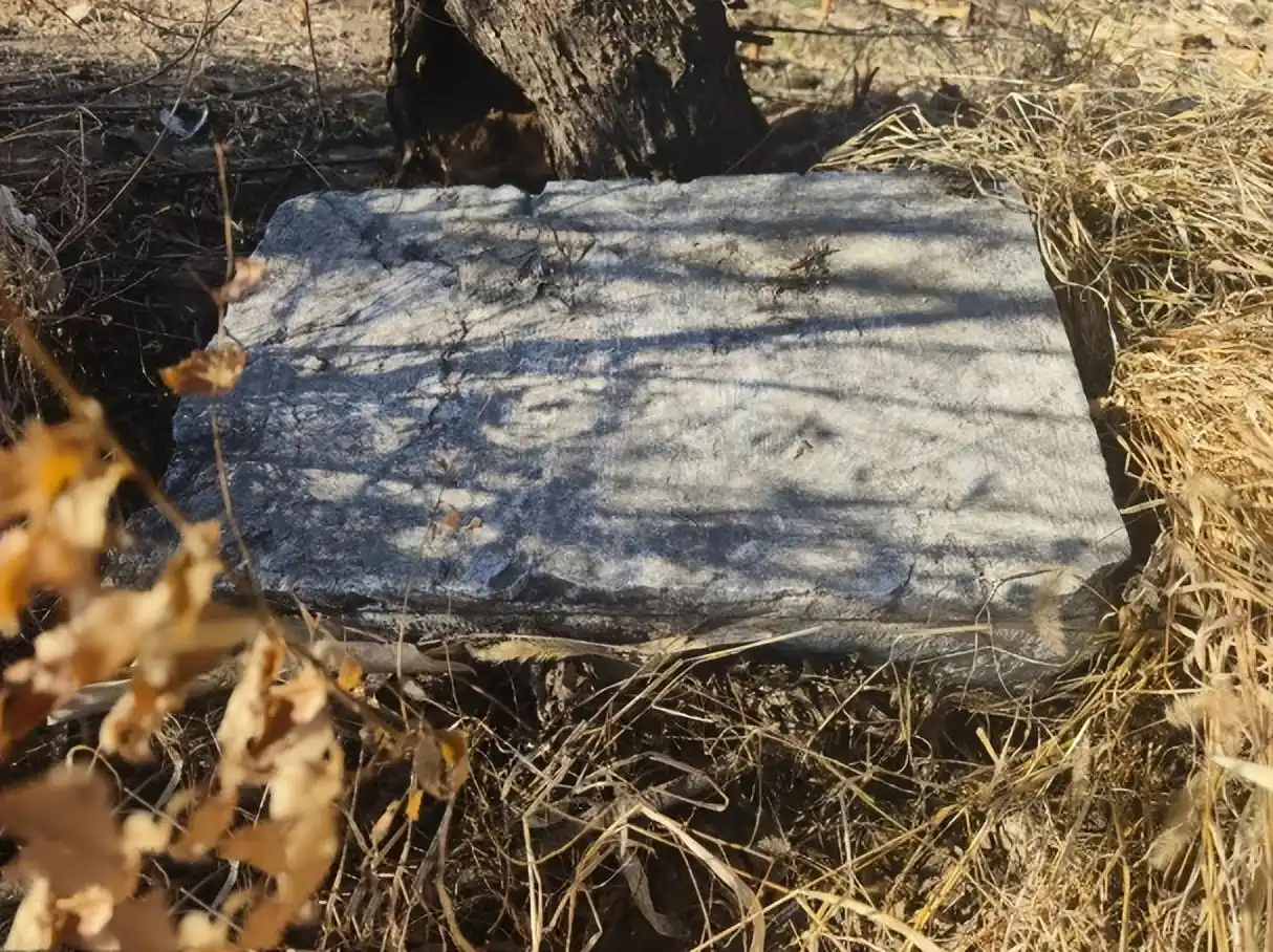 古墓保护与文化遗产_现实的盗墓凶险吗_盗墓行为法律后果