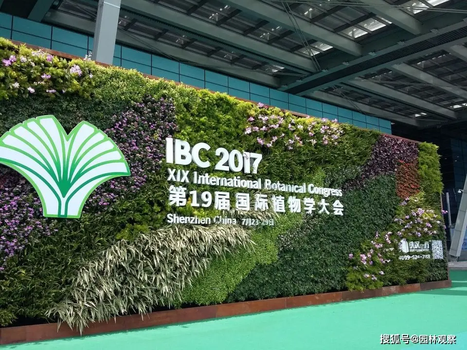 国槐种子怎么播种才能出苗_国槐 拉丁名 纠正_国槐 日本槐学名 历史