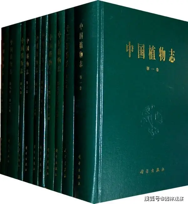 国槐 日本槐学名 历史_国槐种子怎么播种才能出苗_国槐 拉丁名 纠正