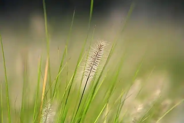 尼康1.4和1.8光圈区别大吗_尼康 Z 卡口大光圈定焦镜头体验_尼克尔 Z 135mm f/1.8 S Plena 评测