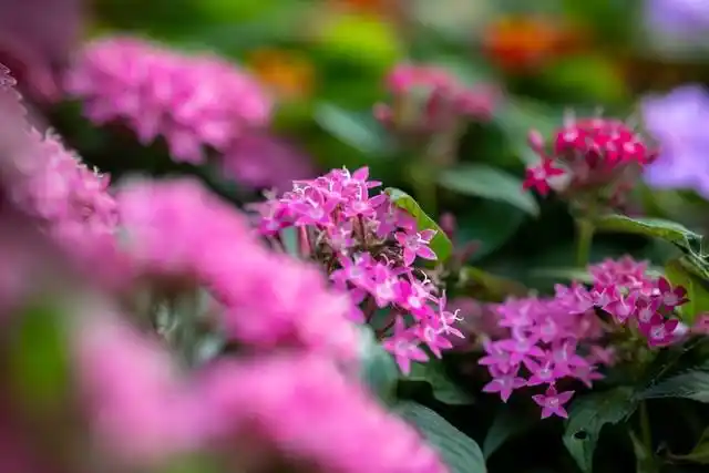 尼康1.4和1.8光圈区别大吗_尼康 Z 卡口大光圈定焦镜头体验_尼克尔 Z 135mm f/1.8 S Plena 评测