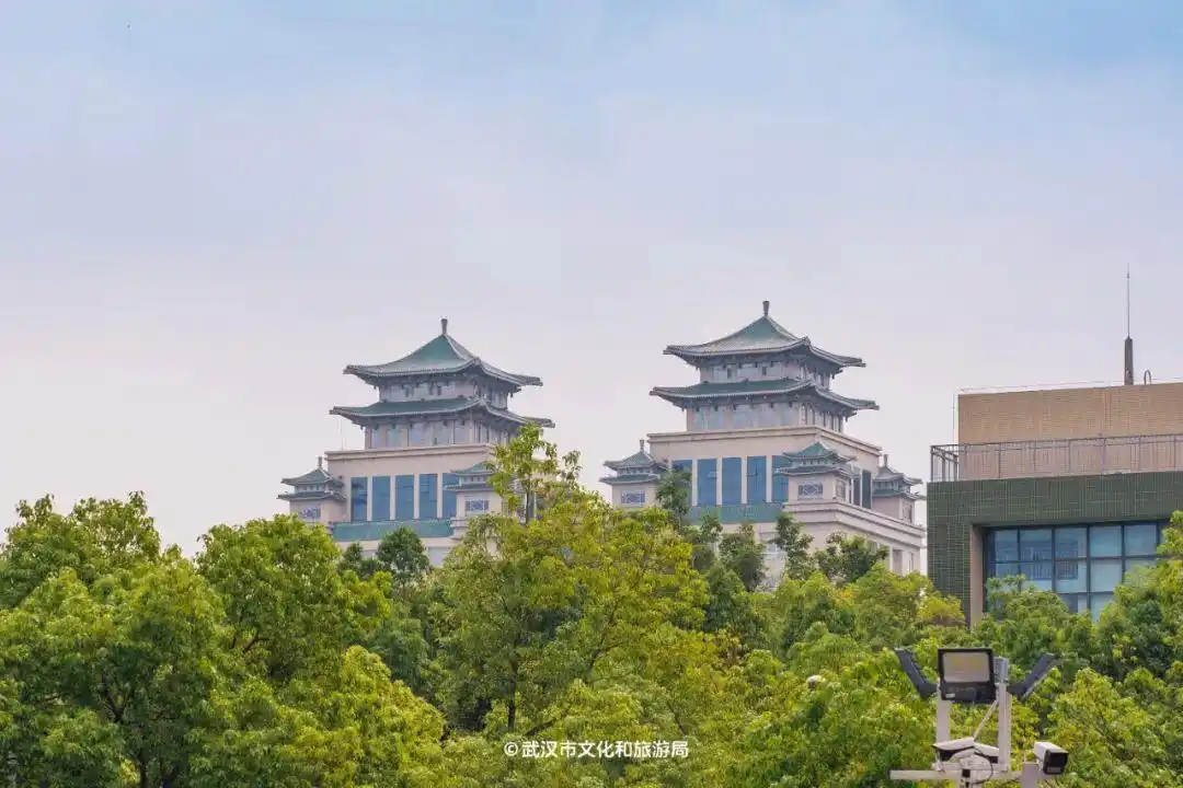光谷历史变迁_光谷发展历程_光谷广场离步行街有多远