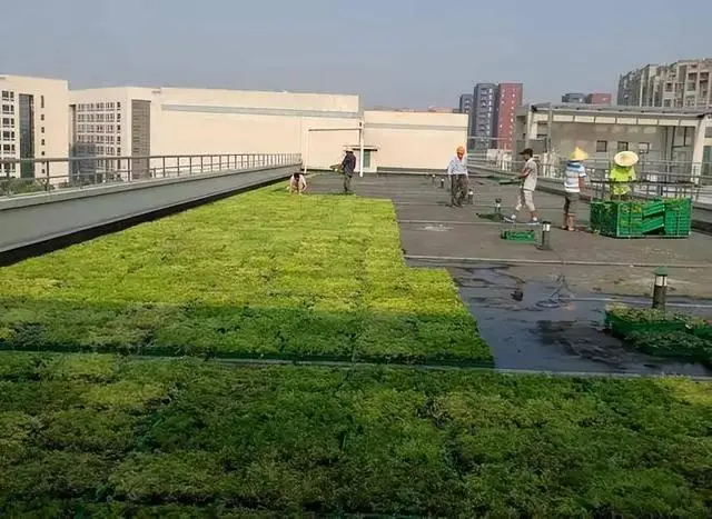 房顶防水材料哪个牌子好_住顶楼隔热方法_房顶隔热涂料