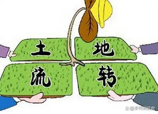 河南省洛阳市宅基地能抵押贷款吗_宅基地5年期变局_宅基地抵押贷款政策