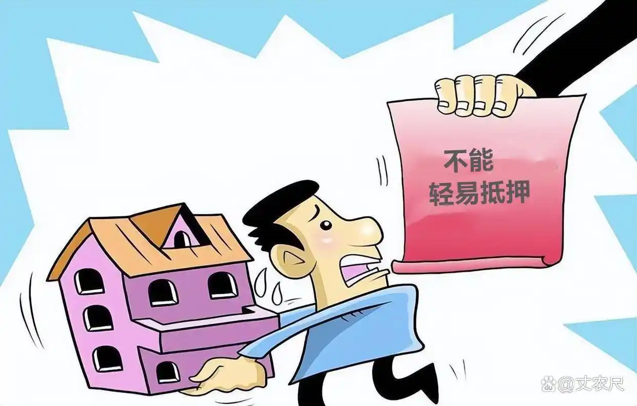 河南省洛阳市宅基地能抵押贷款吗_回村建房宅基地价值_宅基地买卖放宽政策