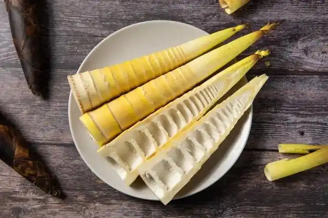 八月的竹笋能吃吗_不同种类春笋食用方法_春笋最佳吃法